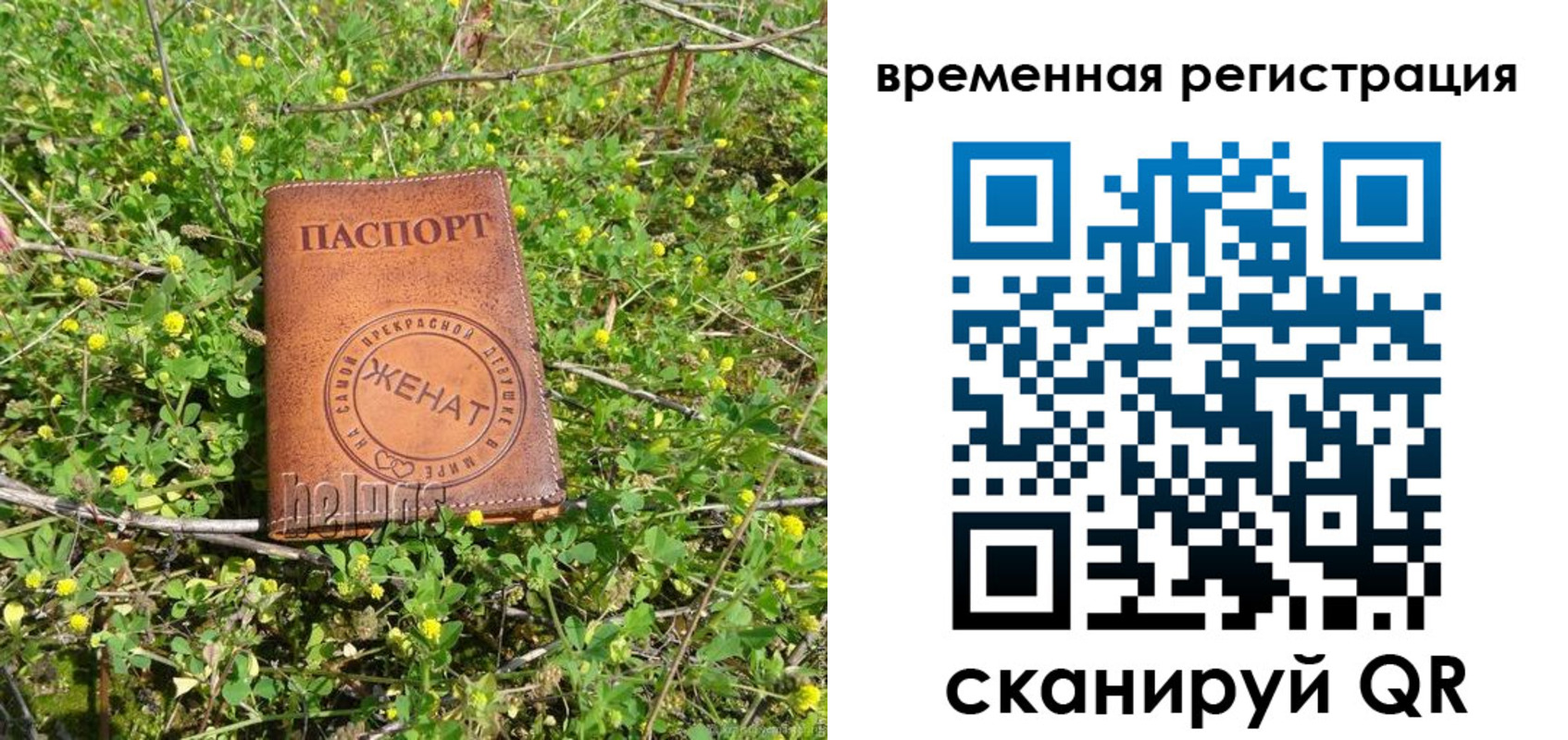 прописка регистрация в Новоаннинском